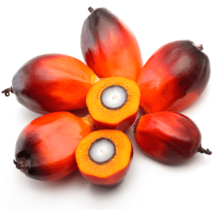 Raw red palm fruit