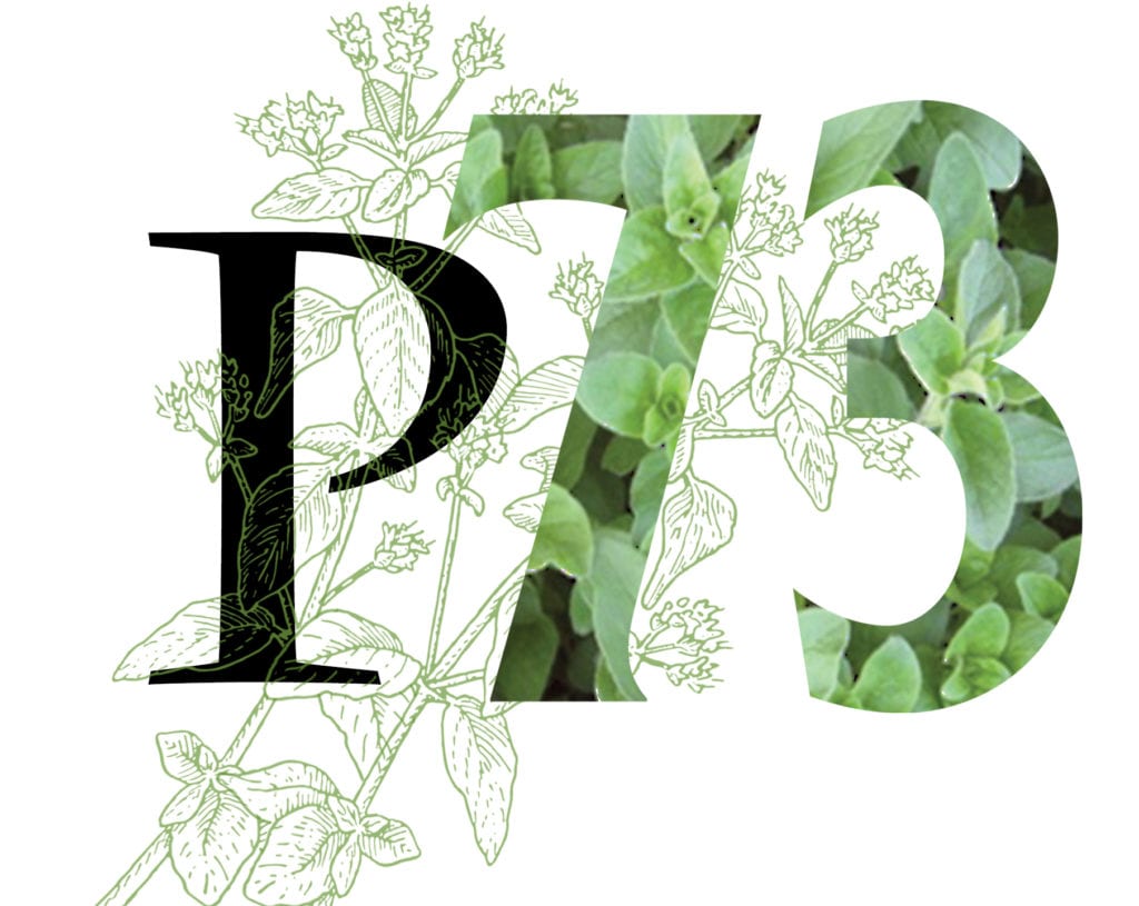 P73 oregano logo